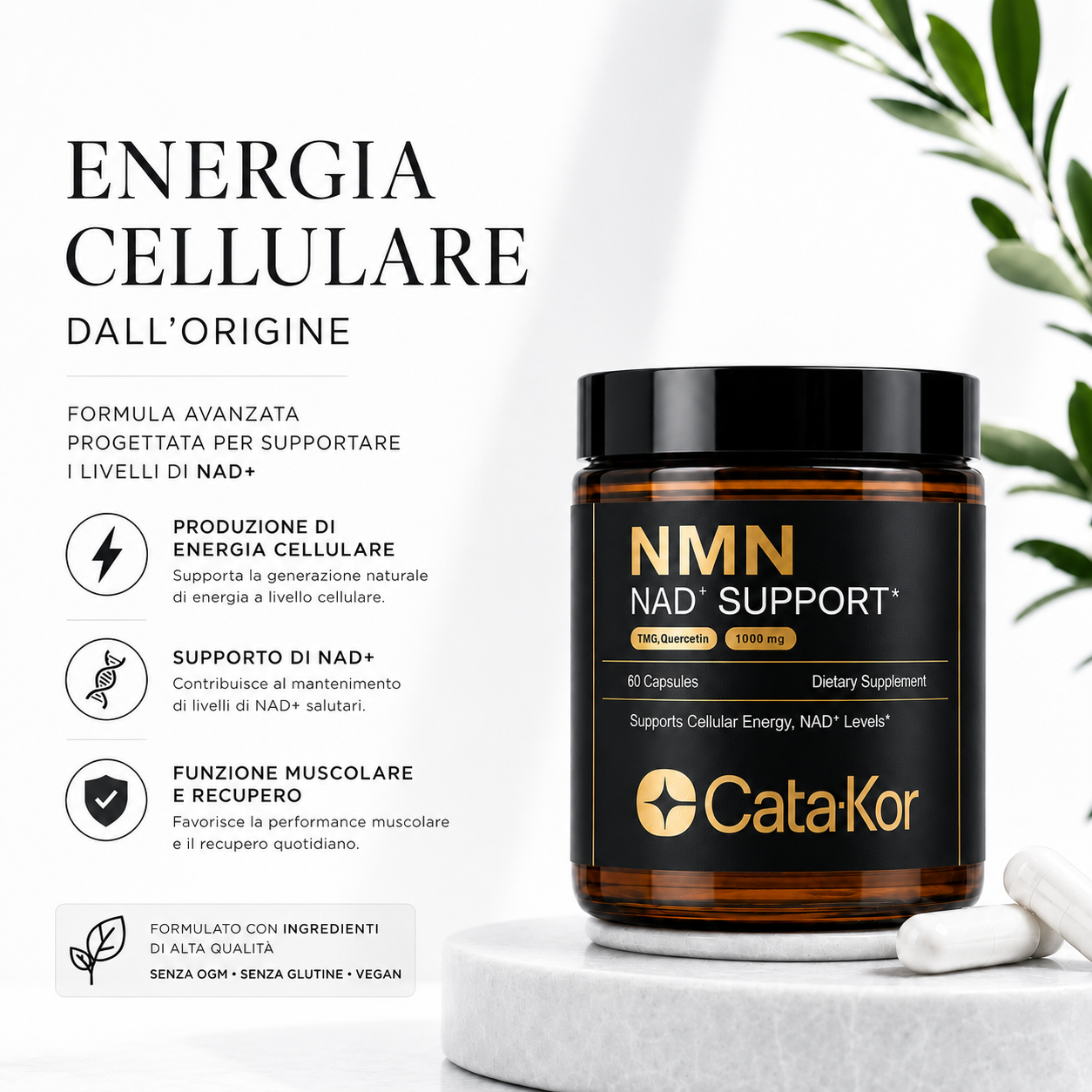 Cata-Kor NMN: Energia pulita, concentrazione e costanza